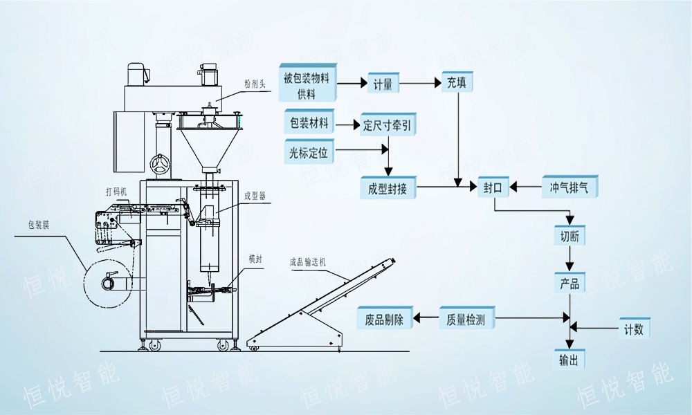 全自動海角网站登录入囗包裝流程解析